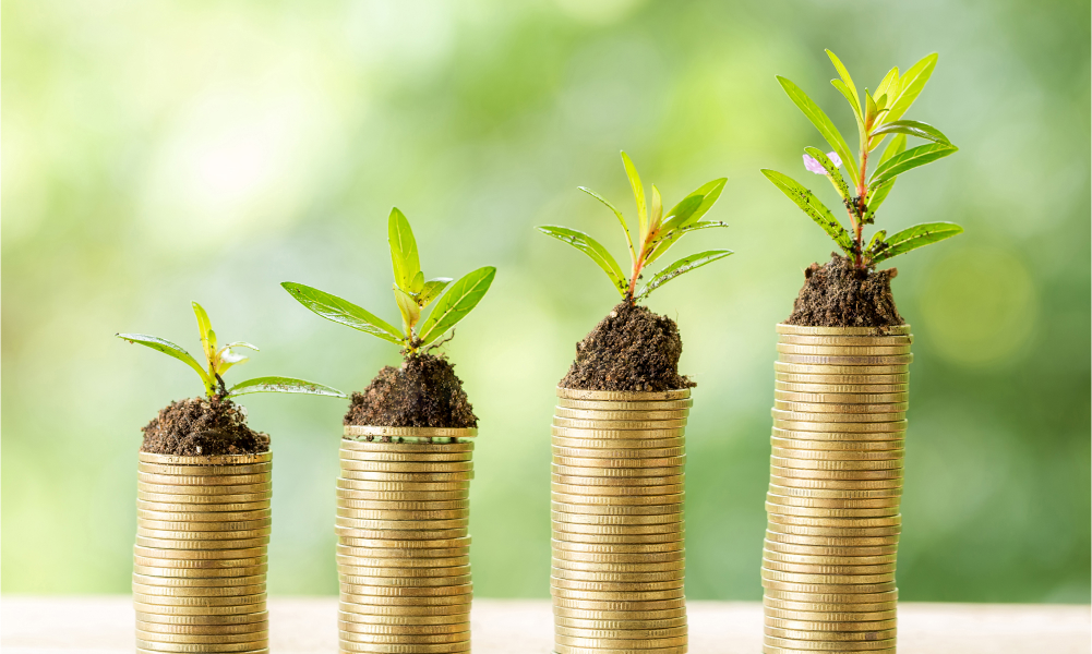 Cost-Effective-Solution